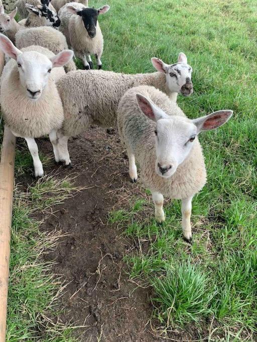 Longnor  Ivy House Farm, Near Longnor 빌라 외부 사진